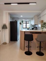 Blk 163 Mei Ling Vista (Queenstown), HDB 3 Rooms #595104851
